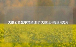 大健云仓盘中异动 股价大涨5.22%报25.38美元