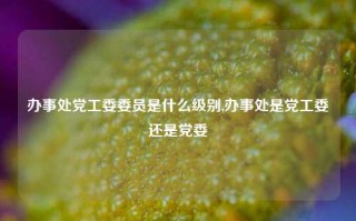 办事处党工委委员是什么级别,办事处是党工委还是党委