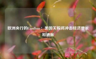 欧洲央行的Cipollone：美国关税将冲击经济增长和通胀