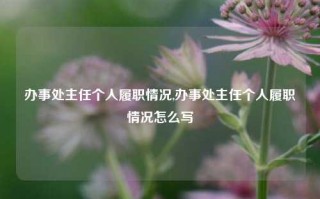 办事处主任个人履职情况,办事处主任个人履职情况怎么写