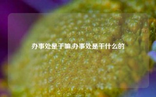 办事处是干嘛,办事处是干什么的