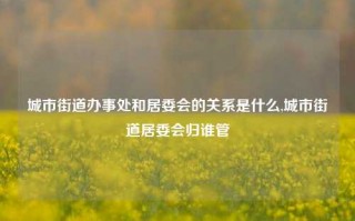 城市街道办事处和居委会的关系是什么,城市街道居委会归谁管