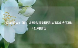 振华风光：第二大股东深圳正和兴拟减持不超3%公司股份