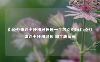 街道办事处主任和局长是一个级别的吗,街道办事处主任和局长 哪个职位高