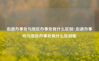 街道办事处与地区办事处有什么区别?,街道办事处与地区办事处有什么区别呢