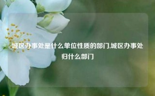 城区办事处是什么单位性质的部门,城区办事处归什么部门