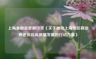 上海金融监管局印发《关于推动上海地区商业养老保险高质量发展的行动方案》