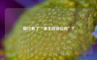 银行有了“孪生投资公司”？