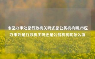 市区办事处是行政机关吗还是公务机构呢,市区办事处是行政机关吗还是公务机构呢怎么填