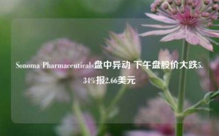 Sonoma Pharmaceuticals盘中异动 下午盘股价大跌5.34%报2.66美元