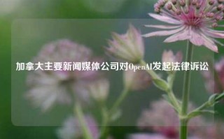 加拿大主要新闻媒体公司对OpenAI发起法律诉讼