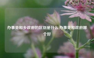 办事处和乡政府的区别是什么,办事处和政府哪个好