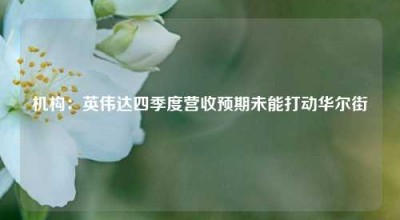 机构：英伟达四季度营收预期未能打动华尔街