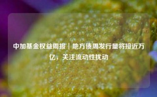 中加基金权益周报︱地方债周发行量将接近万亿，关注流动性扰动