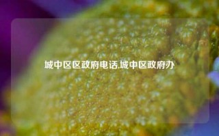 城中区区政府电话,城中区政府办