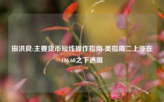 田洪良:主要货币短线操作指南 美指周二上涨在106.60之下遇阻