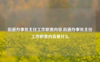 街道办事处主任工作职责内容,街道办事处主任工作职责内容是什么