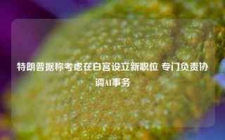 特朗普据称考虑在白宫设立新职位 专门负责协调AI事务