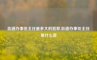 街道办事处主任是多大的官职,街道办事处主任是什么官