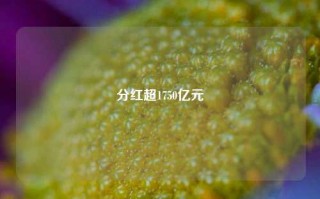 分红超1750亿元