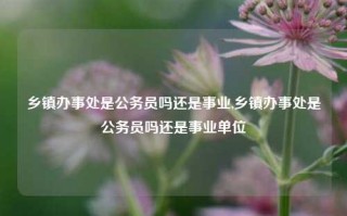 乡镇办事处是公务员吗还是事业,乡镇办事处是公务员吗还是事业单位