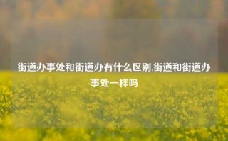 街道办事处和街道办有什么区别,街道和街道办事处一样吗