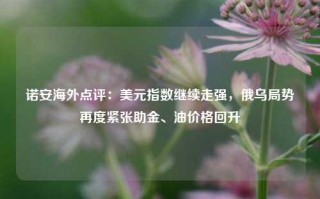 诺安海外点评：美元指数继续走强，俄乌局势再度紧张助金、油价格回升