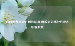 区政府办事处性质和职能,区政府办事处性质和职能职责