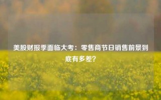 美股财报季面临大考：零售商节日销售前景到底有多差？