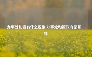 办事处和镇有什么区别,办事处和镇政府是否一样