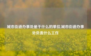 城市街道办事处是干什么的单位,城市街道办事处负责什么工作