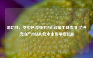 潘功胜：发挥好结构性货币政策工具作用 促进房地产市场和资本市场平稳发展