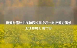 街道办事处主任和局长哪个好一点,街道办事处主任和局长 哪个好