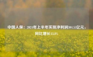 中国人保：2024年上半年实现净利润304.55亿元，同比增长13.8%