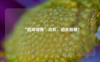 “超级细菌”危机，迫在眉睫！