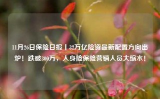 11月26日保险日报丨32万亿险资最新配置方向出炉！跌破300万，人身险保险营销人员大缩水！