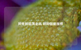 风电股震荡走高 明阳智能涨停