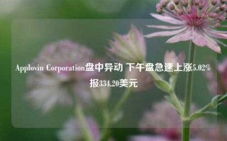 Applovin Corporation盘中异动 下午盘急速上涨5.02%报334.20美元