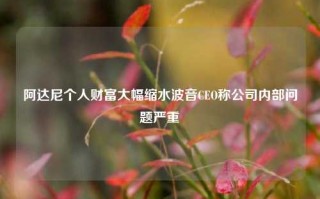 阿达尼个人财富大幅缩水波音CEO称公司内部问题严重