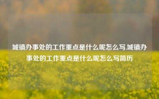 城镇办事处的工作重点是什么呢怎么写,城镇办事处的工作重点是什么呢怎么写简历