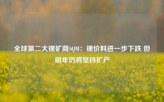 全球第二大锂矿商SQM：锂价料进一步下跌 但明年仍将坚持扩产