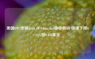 美国OTC市场Bank Of China Ltd盘中异动 快速下挫6.25%报0.450美元