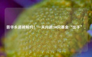 普华永道被解约！一天内逾200只基金“出手”......