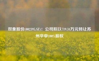 双象股份(002395.SZ)：公司拟以719.34万元转让苏州华申100%股权