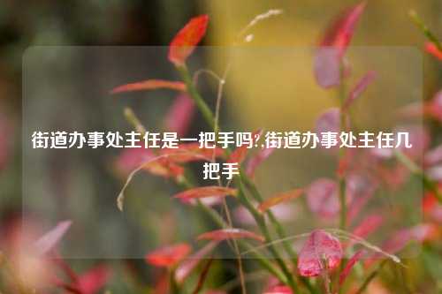 街道办事处主任是一把手吗?,街道办事处主任几把手-第1张图片-中共霸州城区办事处-何庄社区