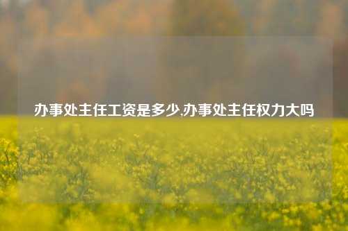 办事处主任工资是多少,办事处主任权力大吗-第1张图片-中共霸州城区办事处-何庄社区