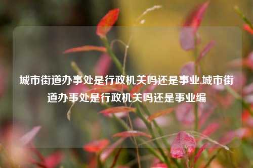 城市街道办事处是行政机关吗还是事业,城市街道办事处是行政机关吗还是事业编-第1张图片-中共霸州城区办事处-何庄社区