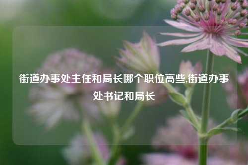 街道办事处主任和局长哪个职位高些,街道办事处书记和局长-第1张图片-中共霸州城区办事处-何庄社区