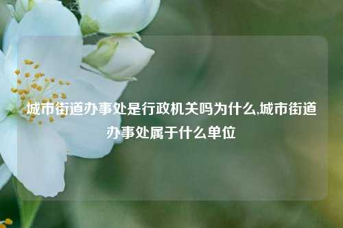 城市街道办事处是行政机关吗为什么,城市街道办事处属于什么单位-第1张图片-中共霸州城区办事处-何庄社区