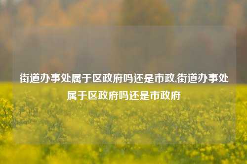 街道办事处属于区政府吗还是市政,街道办事处属于区政府吗还是市政府-第1张图片-中共霸州城区办事处-何庄社区